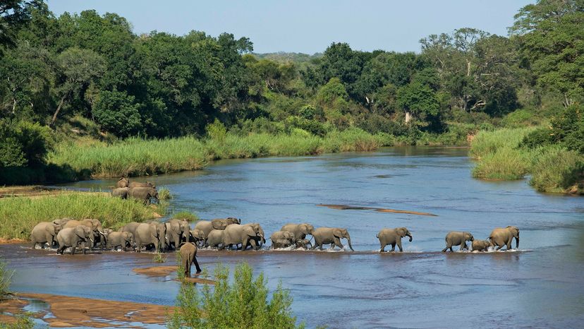 Parque Nacional Kruger