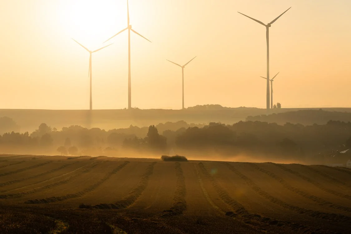 Energias Renováveis: O Futuro Que Você Não Imaginava