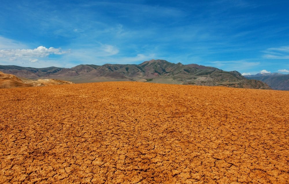 A Terra está bem... somos você e eu que estamos em apuros!