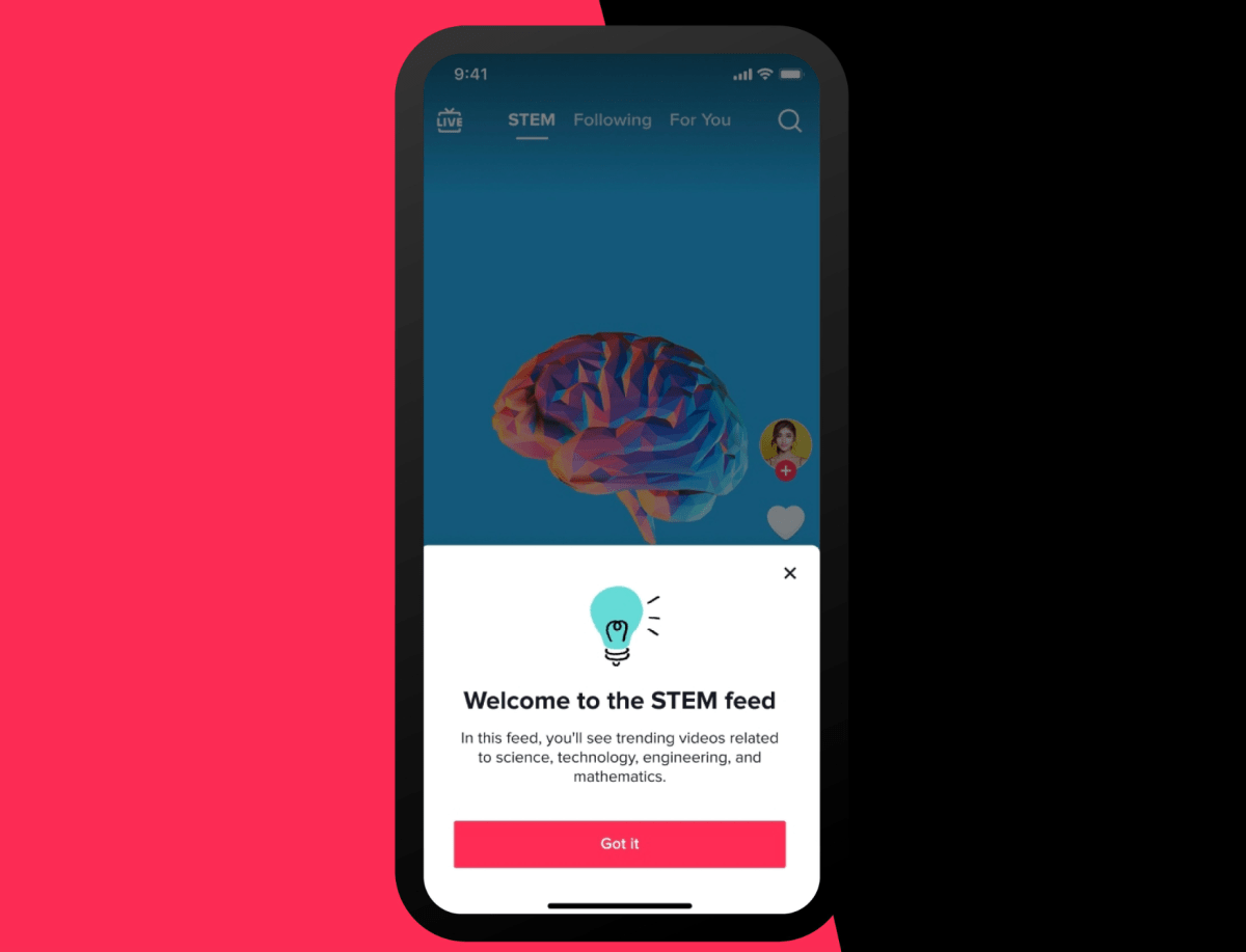 O TikTok agora mostrará seu feed STEM para adultos, não apenas para adolescentes