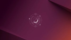 Ubuntu 24.10 Oracular Oriole decola – com uma mistura de inovação e nostalgia