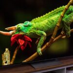 A TV OLED G4 da LG é minha escolha número 1 para melhor qualidade de imagem e tem 32% de desconto na Cyber ​​​​Monday