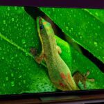 A TV OLED G4 da LG é minha escolha número 1 para melhor qualidade de imagem e tem um desconto de US $ 1.100 na Black Friday