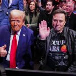 Donald Trump and Elon Musk at a UFC fight in New York