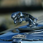 Por que a campanha Copy Nothing da Jaguar estourou na Internet - além de 5 maneiras de acertar no lançamento do seu próximo produto