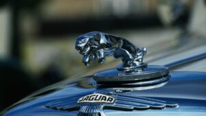 Por que a campanha Copy Nothing da Jaguar estourou na Internet - além de 5 maneiras de acertar no lançamento do seu próximo produto