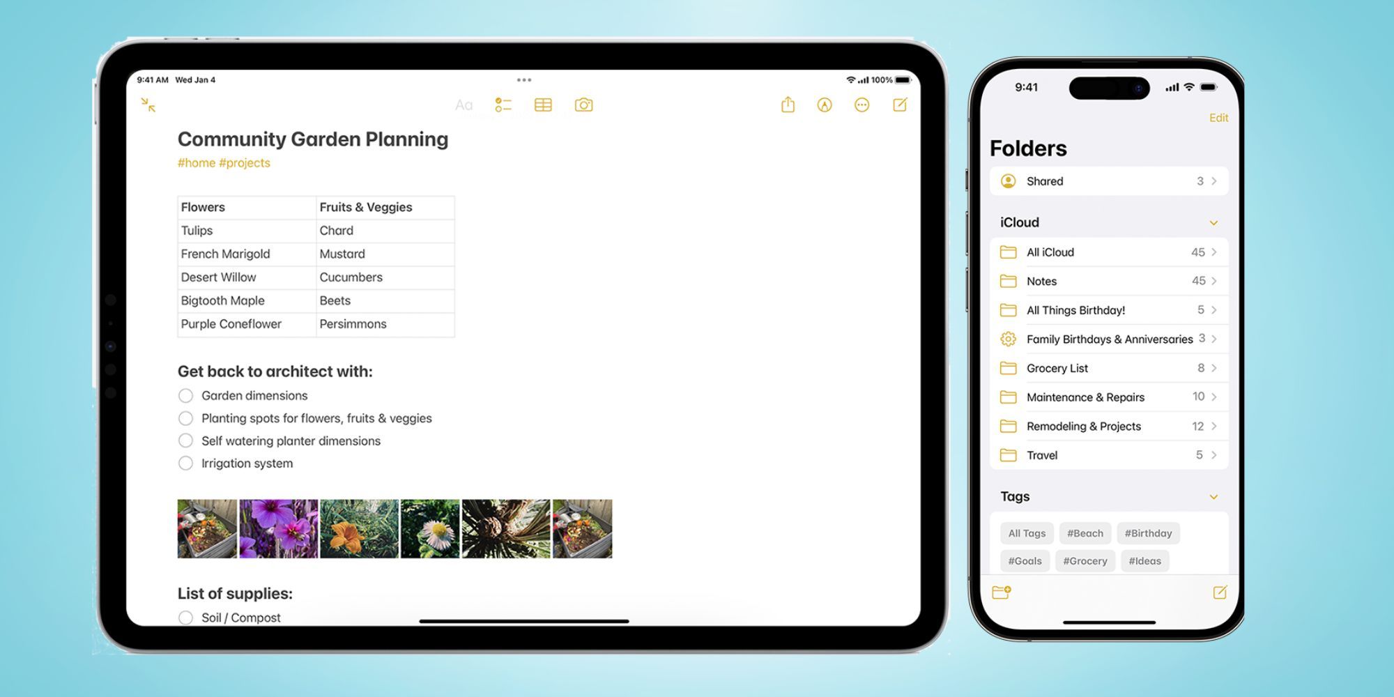 Apple Notes no iOS e iPad mostrando uma planta de jardim.