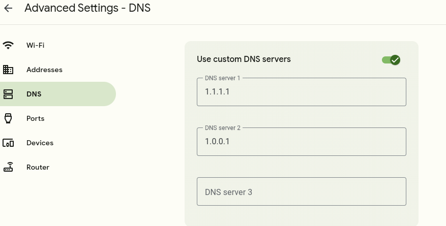 Alterando servidores DNS em uma página de configurações do roteador Google Fiber.