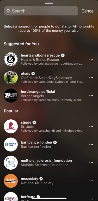 Uma captura de tela da lista de organizações sem fins lucrativos que os usuários do Instagram podem escolher ao iniciar um Instagram Live. 