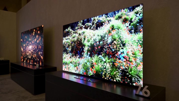 Flora vibrante exibida em uma TV MicroLED Samsung de 76 polegadas.