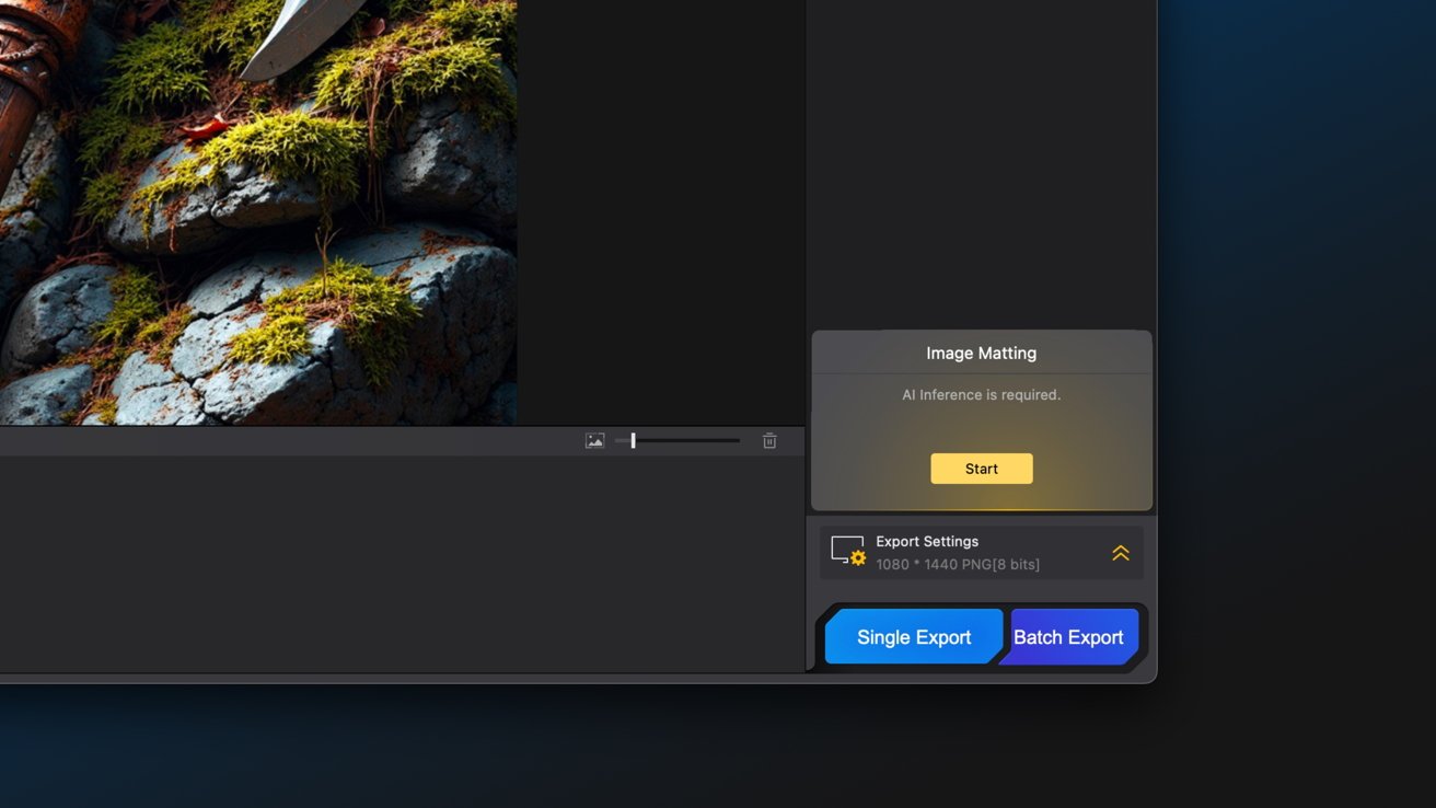 Uma interface de software que exibe opções de edição de imagens, incluindo matização de imagens com um botão Iniciar e configurações de exportação com botões de exportação únicos e em lote. Rochas e musgo são parcialmente visíveis.