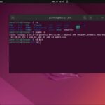 Uma captura de tela mostrando o terminal Ubuntu e a saída de vários comandos básicos.