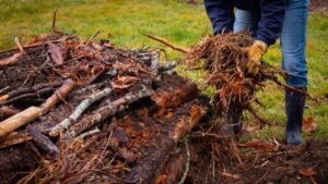 Por que seu jardim precisa de uma cama ‘Hugelkultur’ (e como fazer uma)