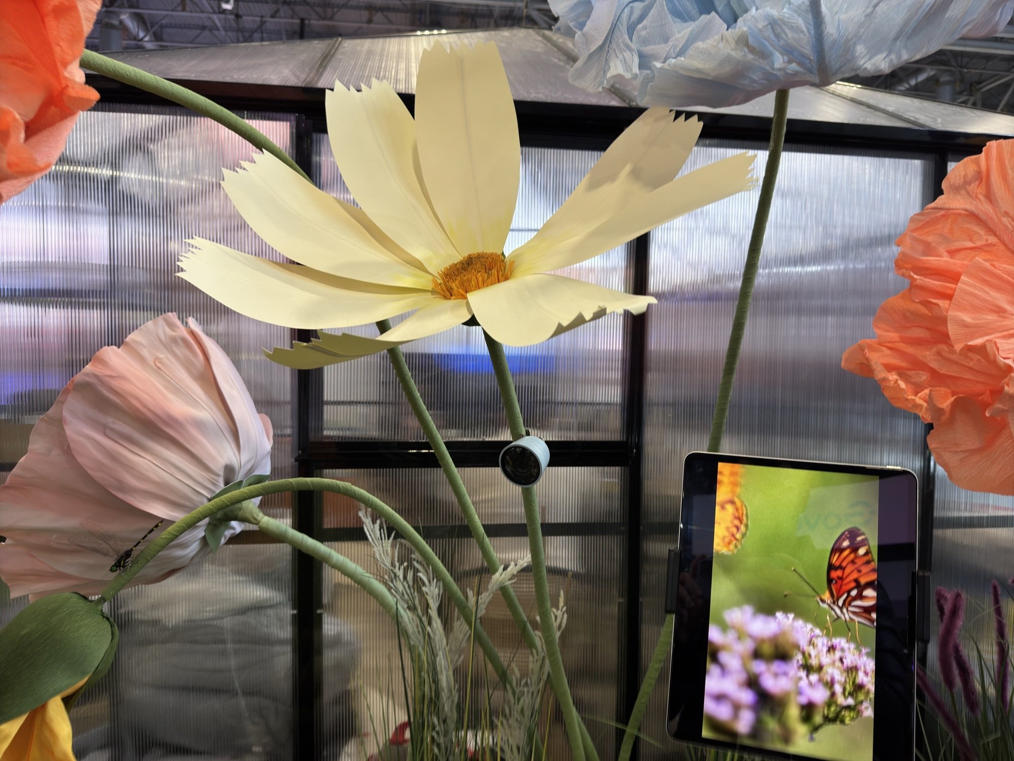 amigo pássaro pendurado em uma flor falsa