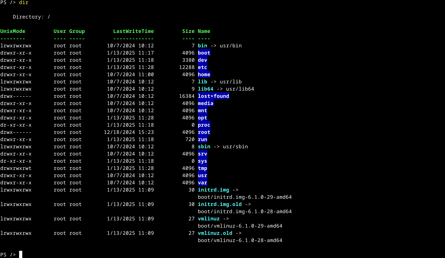 Listagem de diretório Powershell no Linux com comando dir.