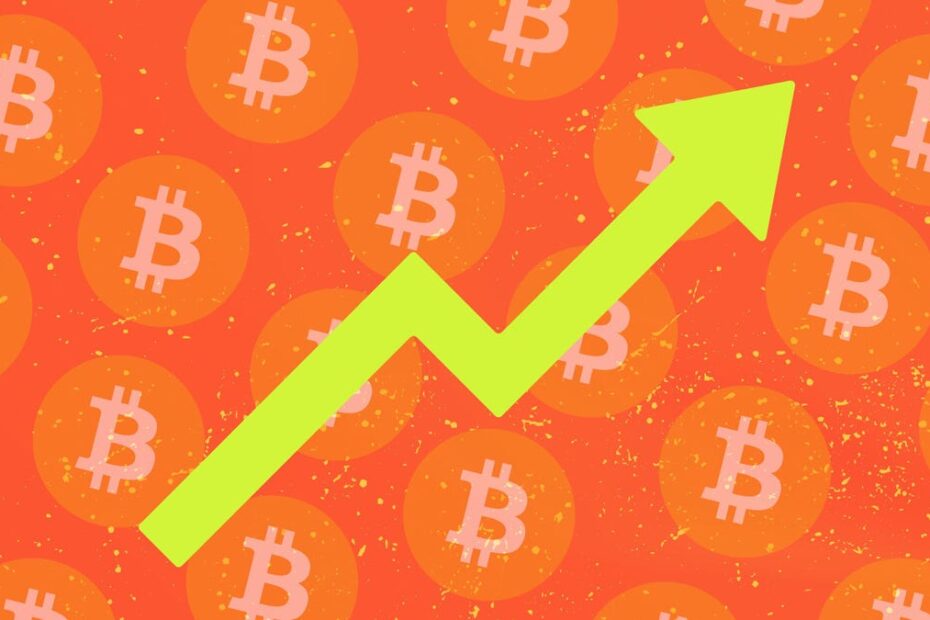 Investi US$ 50 em Bitcoin em 2022 e tem sido uma jornada. Aqui está o quanto eu tenho agora