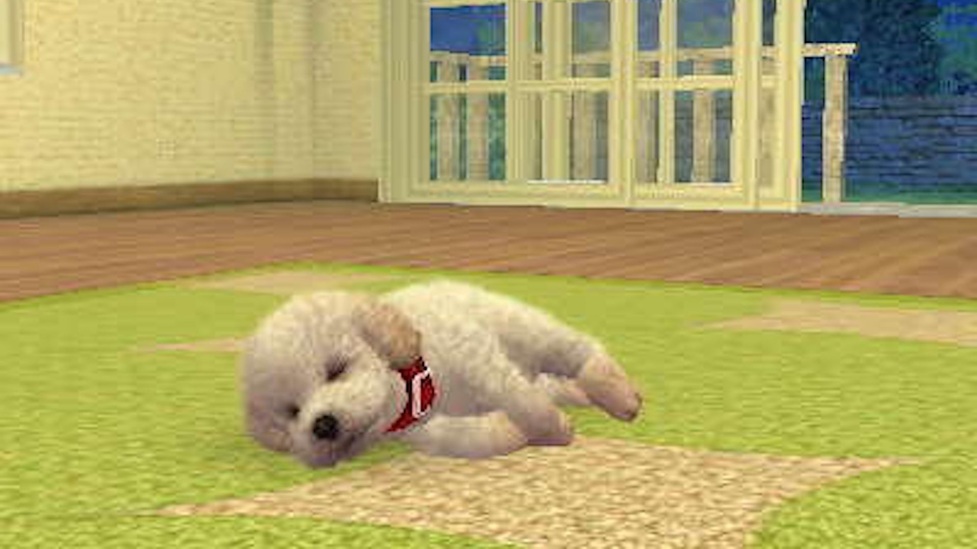 Um cachorro dormindo em uma sala de Nintendogs.