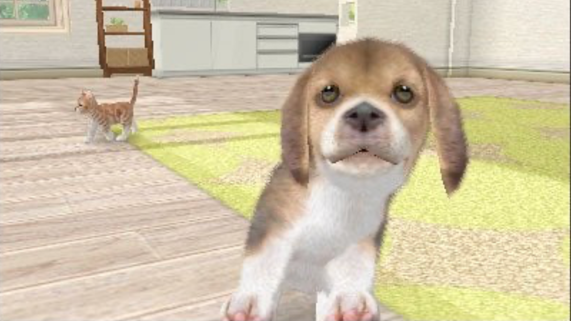 Um cachorro e um gato em uma sala de Nintendogs.